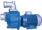 Effluent pump